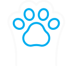 Animaux